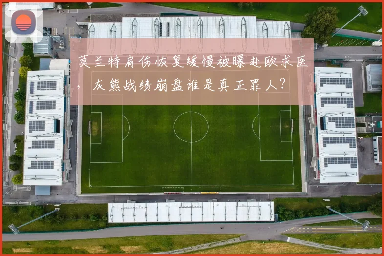 莫兰特肩伤恢复缓慢被曝赴欧求医，灰熊战绩崩盘谁是真正罪人？